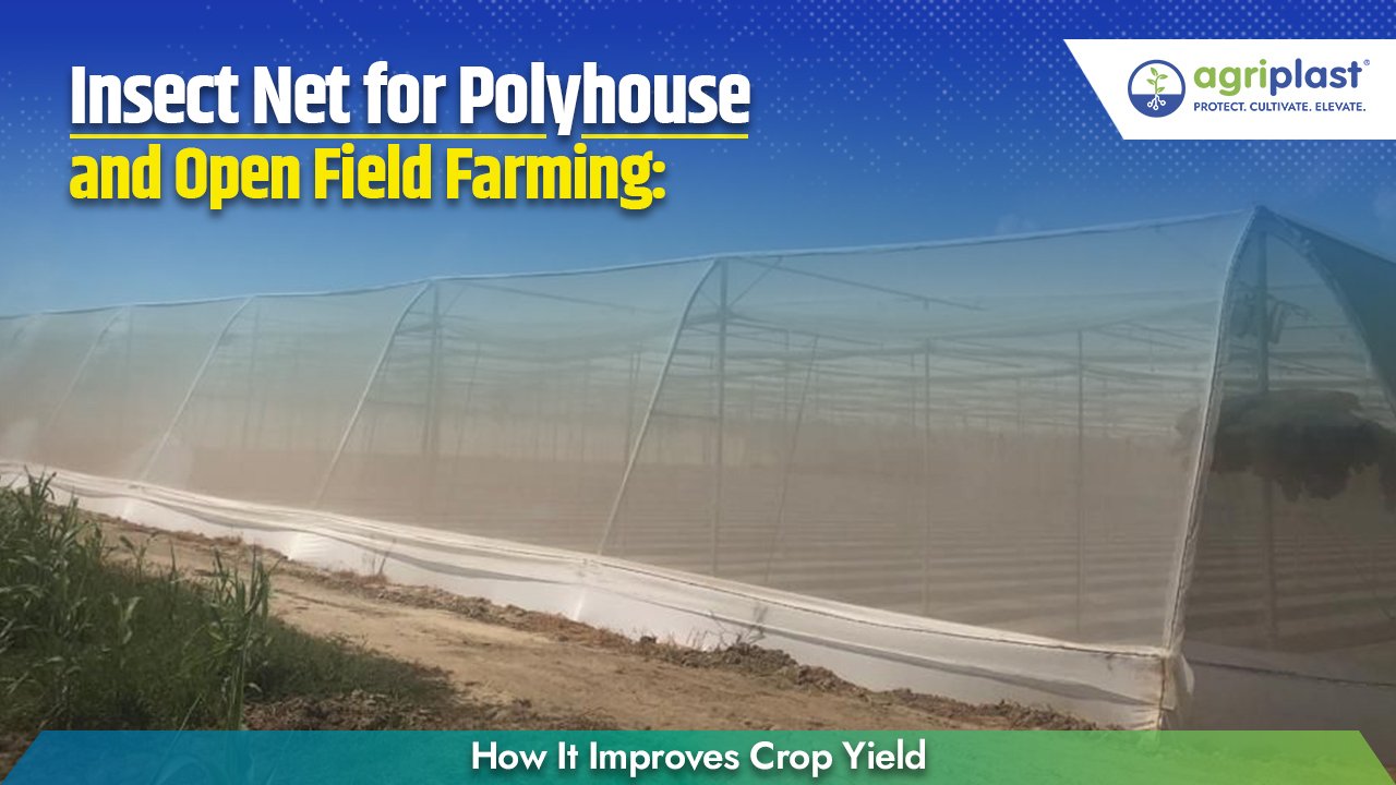 Insect Net for Polyhouse and Open Field Farming: How It Improves Crop Yield Image