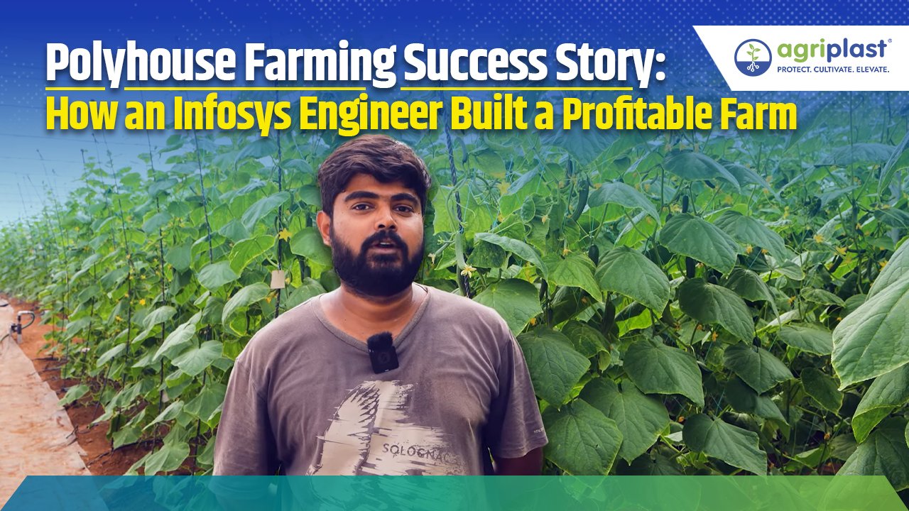 Polyhouse Farming Success Story: How an Infosys Engineer Built a Profitable Farm Image