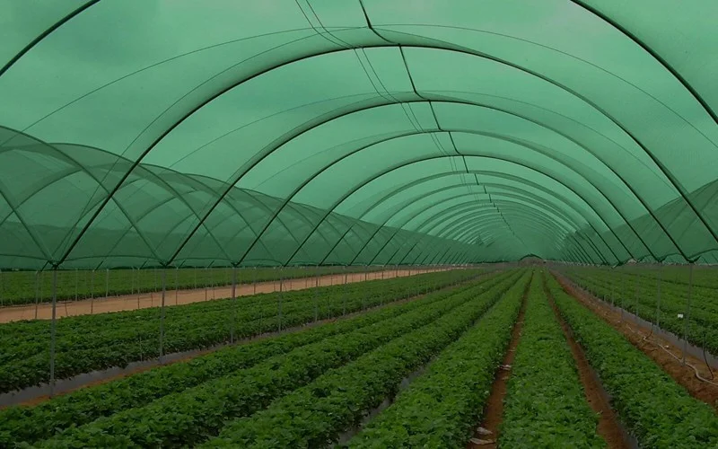 Shade Net Colour Guide: Which Colour Is Best for Your Crop? Image