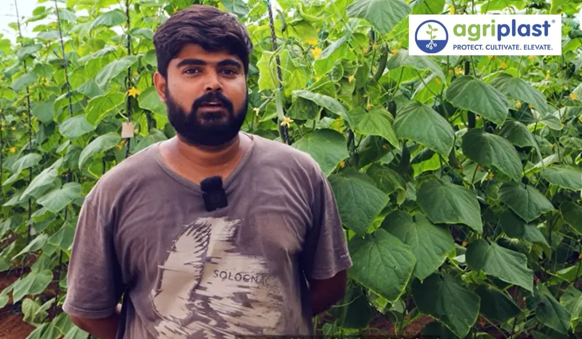 Polyhouse Farming Success Story: Infosys Engineer Built a Profitable Farm in Tamil Nadu image
