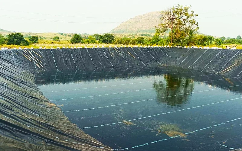 Pond Liner Buying Guide India: Types, Brands, Price & Tips Image