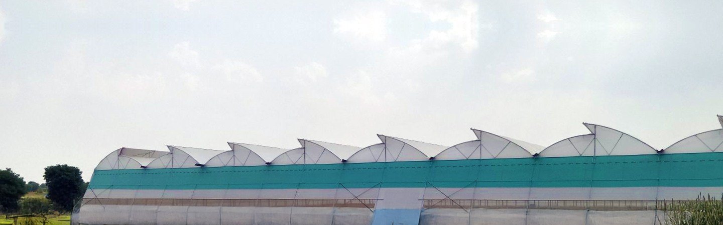 Ginegar Driplock Cool