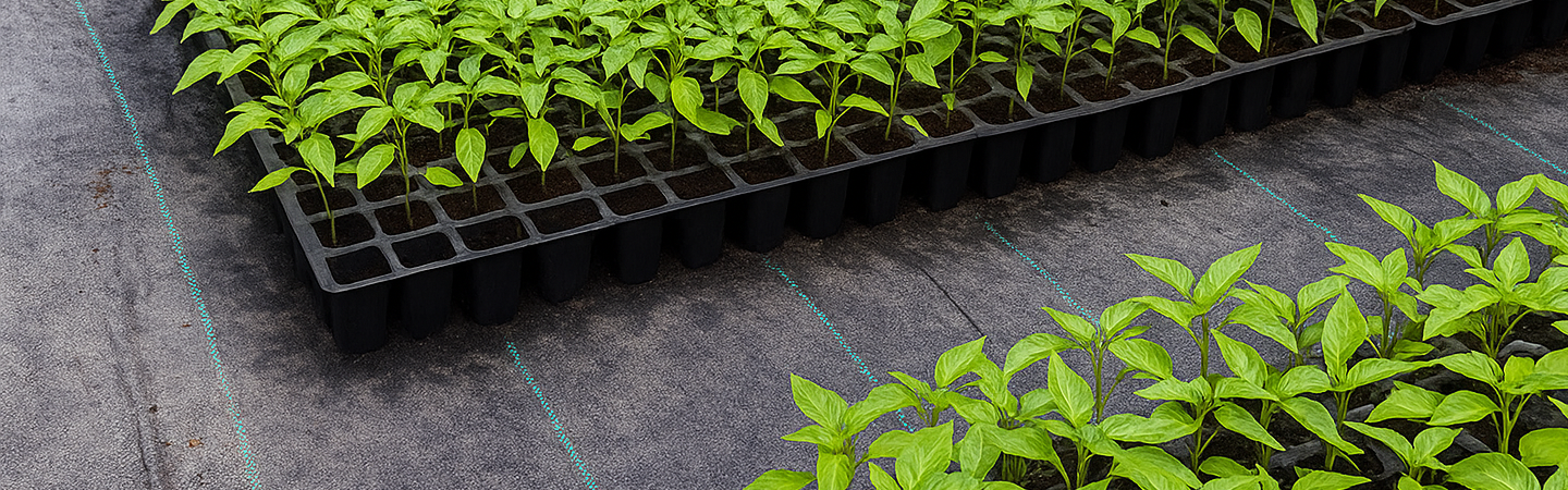 Weed Mat (Ground Cover) 90 GSM