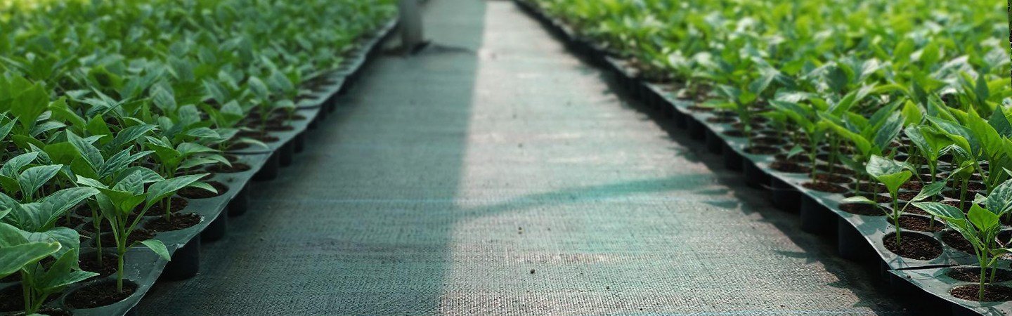 Weed Mat (Ground Cover) 100 GSM