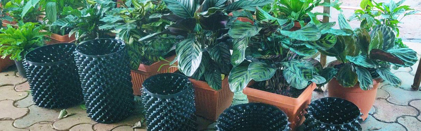 Agriplast Right Pot Plus