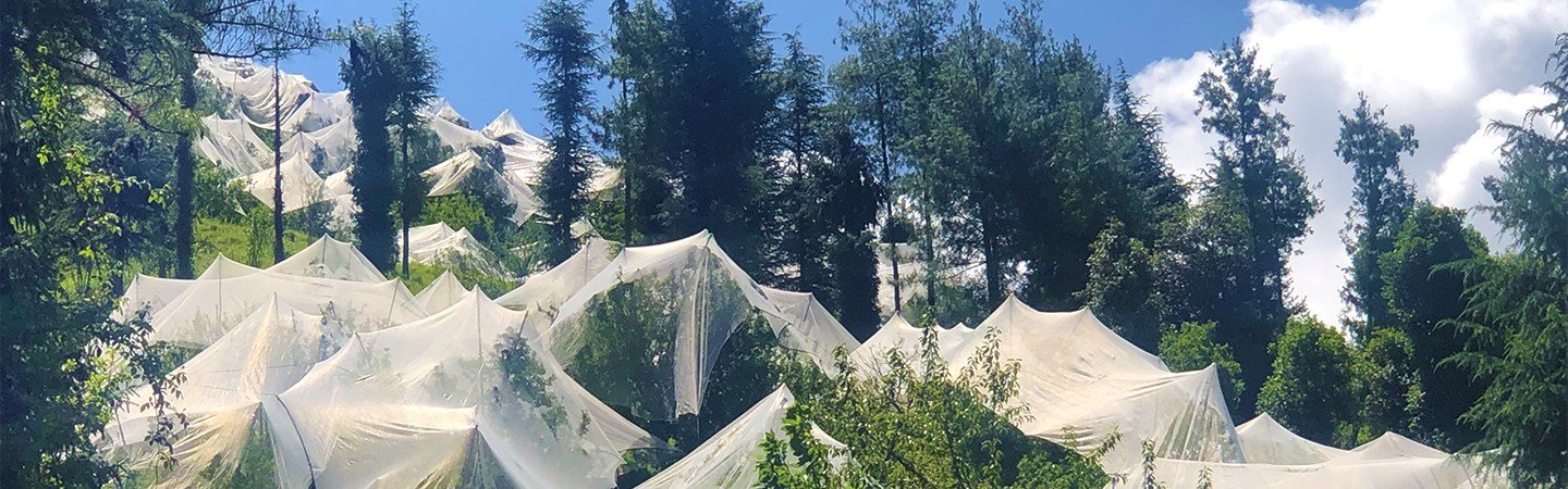 Agriplast Anti-Hail Net Raschel