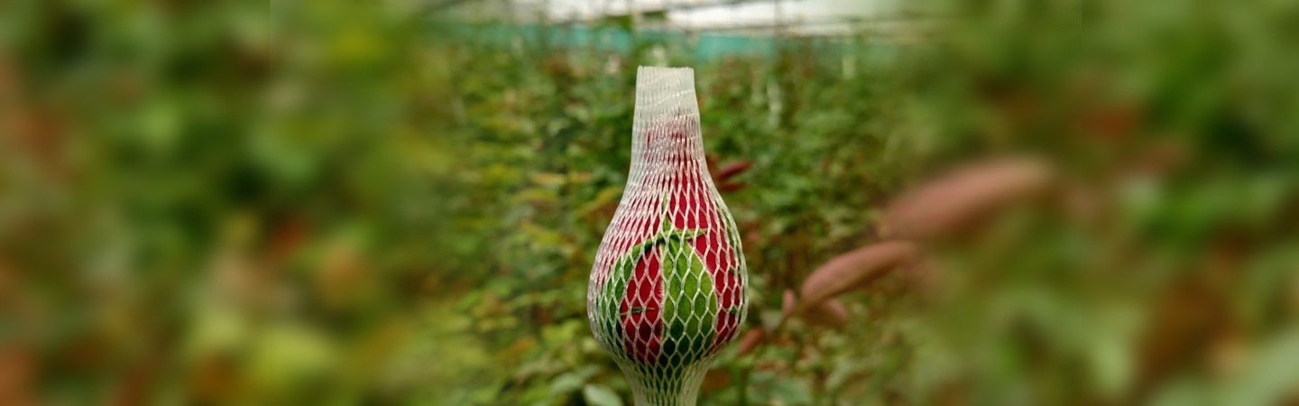 Agriplast Rose Bud Cap