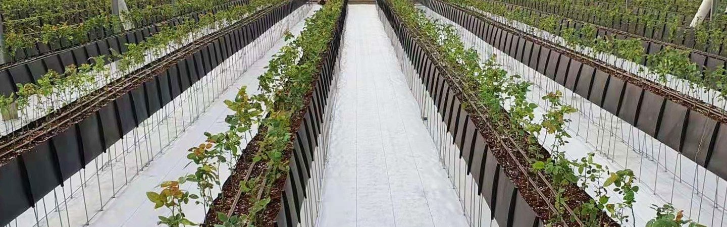 Soilless Growing Solutions