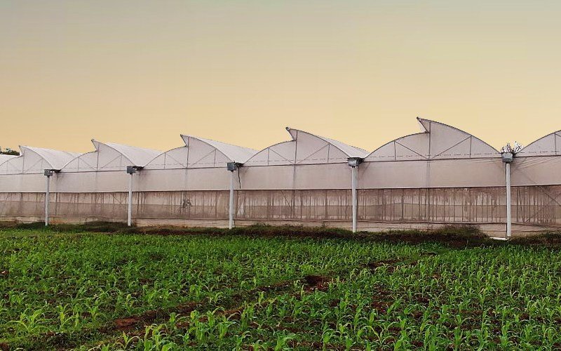 Ginegar Driplock Cool Image 3