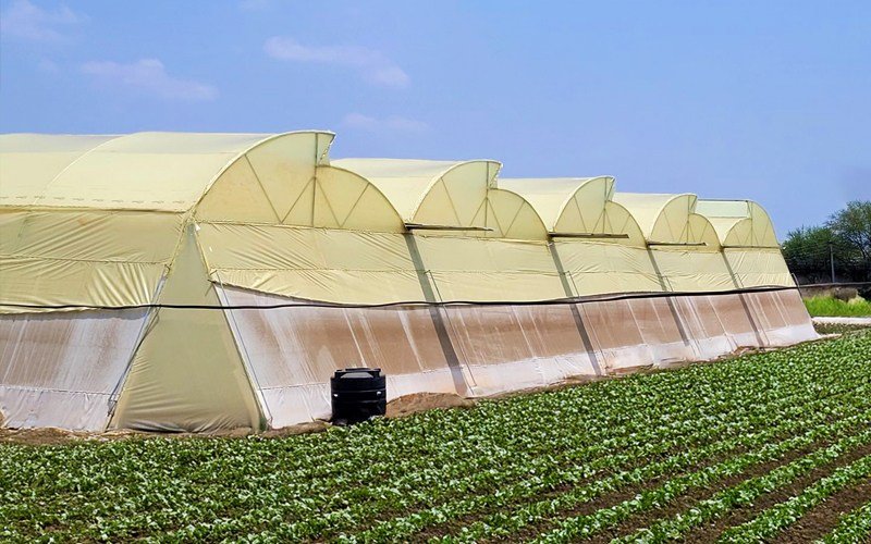 Ginegar Suncover 205N Image 1