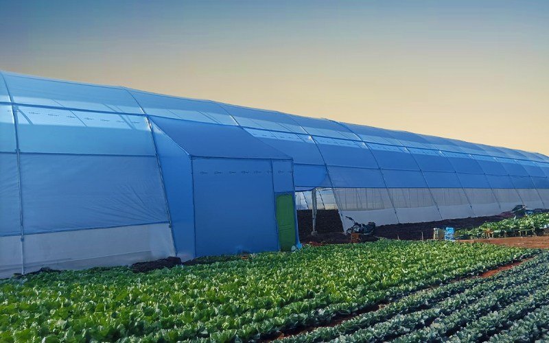 Ginegar Driplock Diffused Blue Image 2