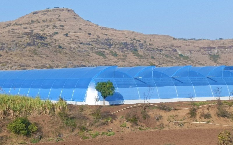 Ginegar Driplock Diffused Blue Image 4