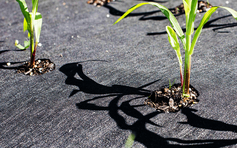 Weed Mat (Ground Cover) 90 GSM Image 4