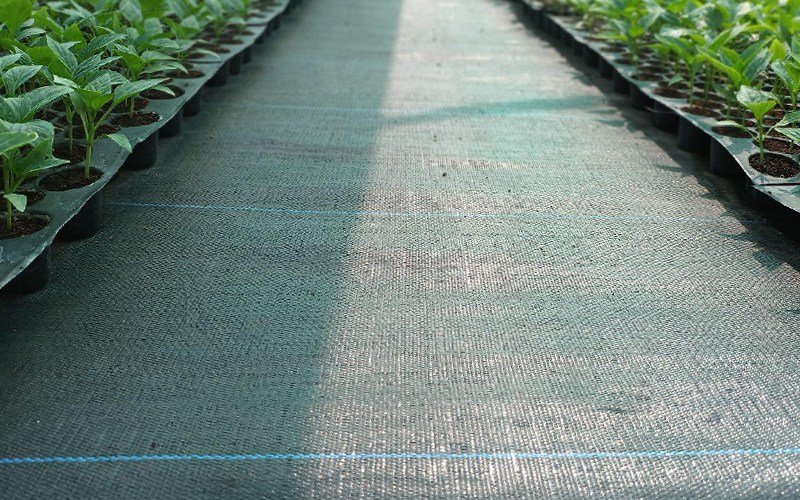 Weed Mat (Ground Cover) 100 GSM Image 1