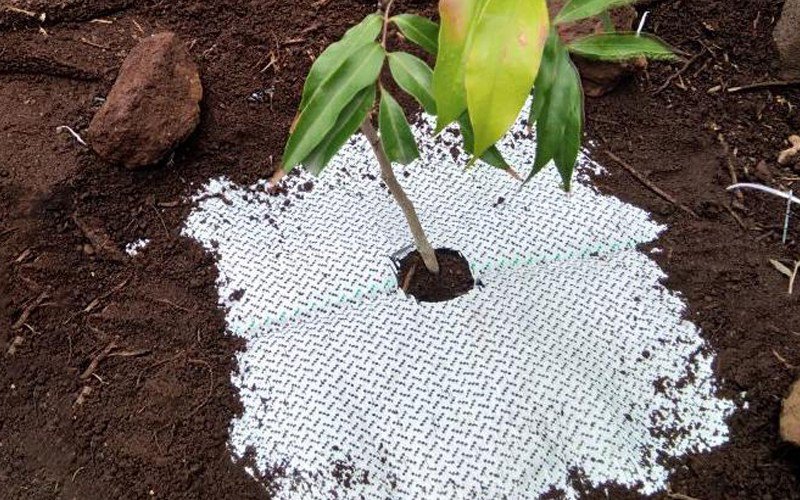 Weed Mat 130 GSM Ground Cover Image 3