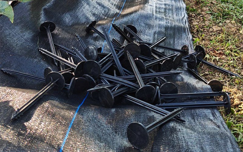 Weedmat Nails Image 3