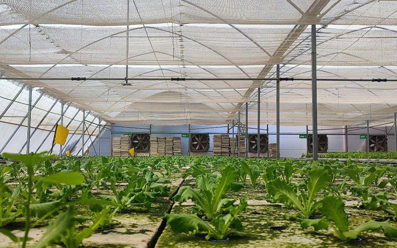 Ginegar Polysack Nets Aluminet Image 1