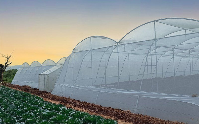 Agriplast Shade Net (Tape x Tape) Image 3