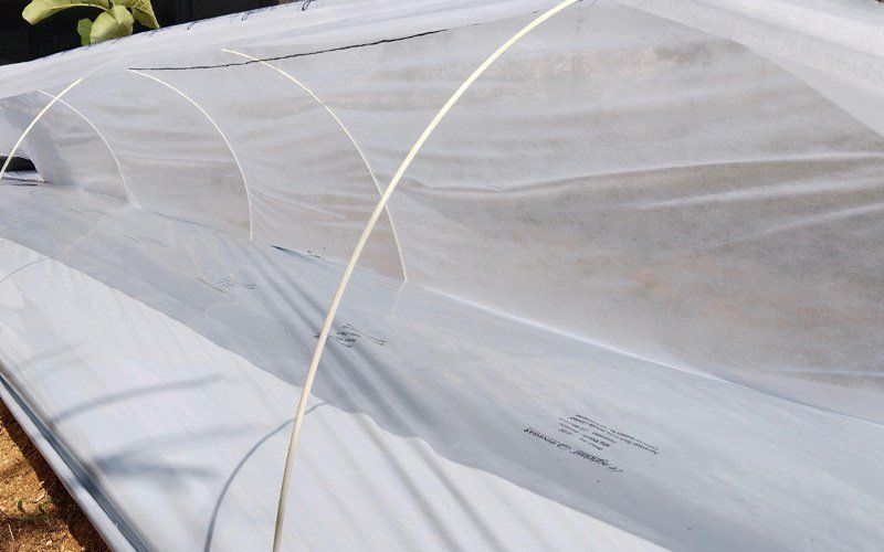 Reinforced Plastic Stick Image 1