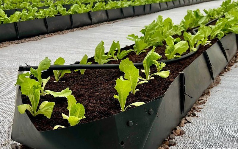 Mapal Growing Trough Image 2