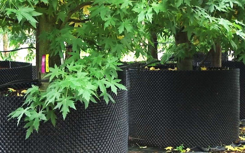 Agriplast Right Pot Plus Image 3