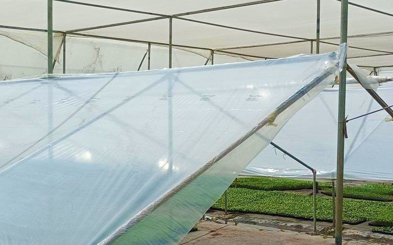 Anti Drip Clear Film for Nursery Image 2