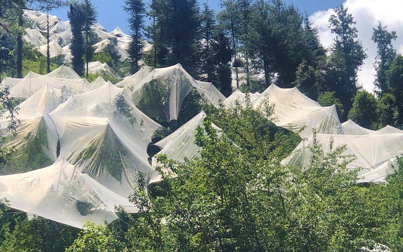 Agriplast Anti-Hail Net Raschel Image 2