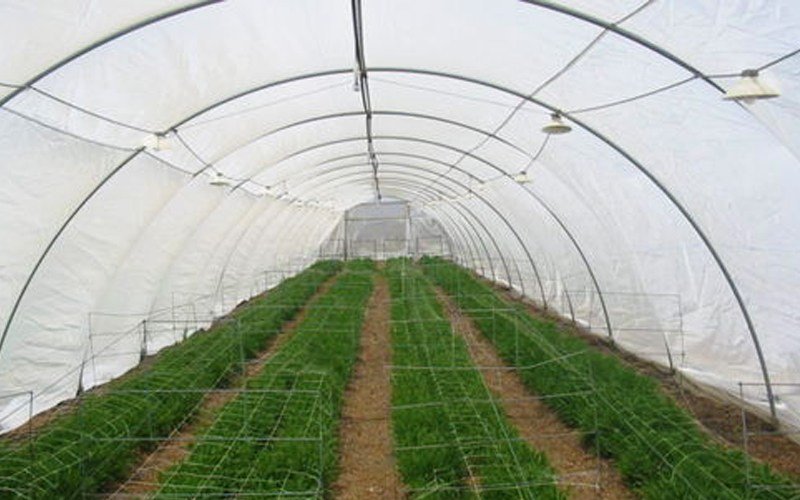 Ginegar Optinet - New Gen Insect Net Image 3