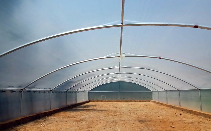 Ginegar Driplock Clear Image 1