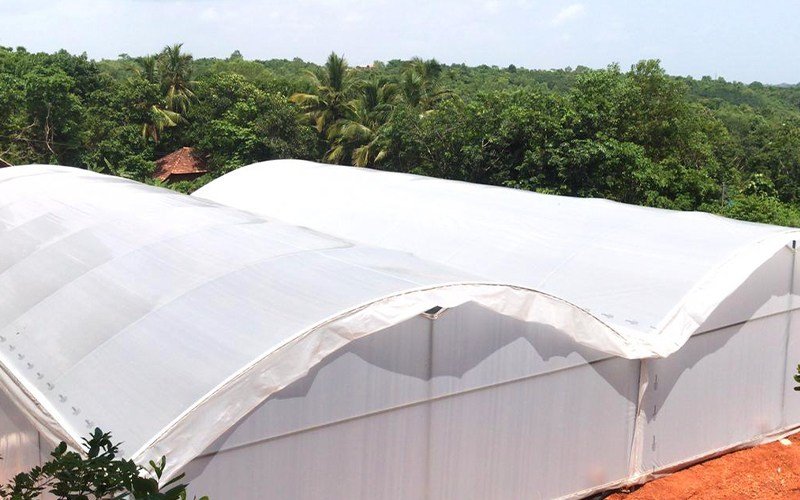 Ginegar Driplock Clear Image 3