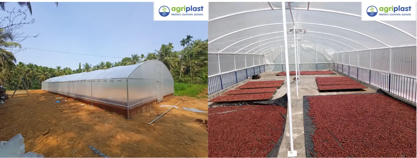 Clear greenhouse film is preferred where heat gain and direct sunlight are required