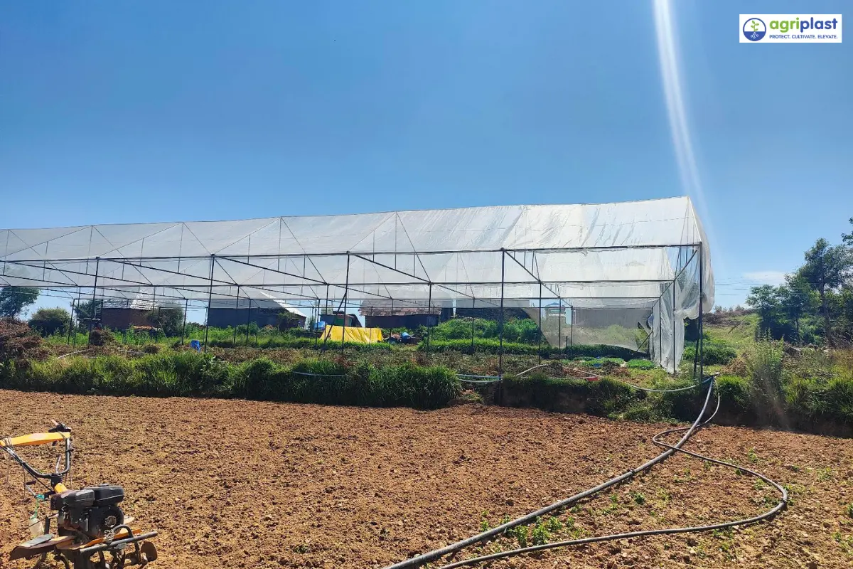 Full canopy steel framework structure with permanent anti-hail netting over commercial farm for year-round crop protection