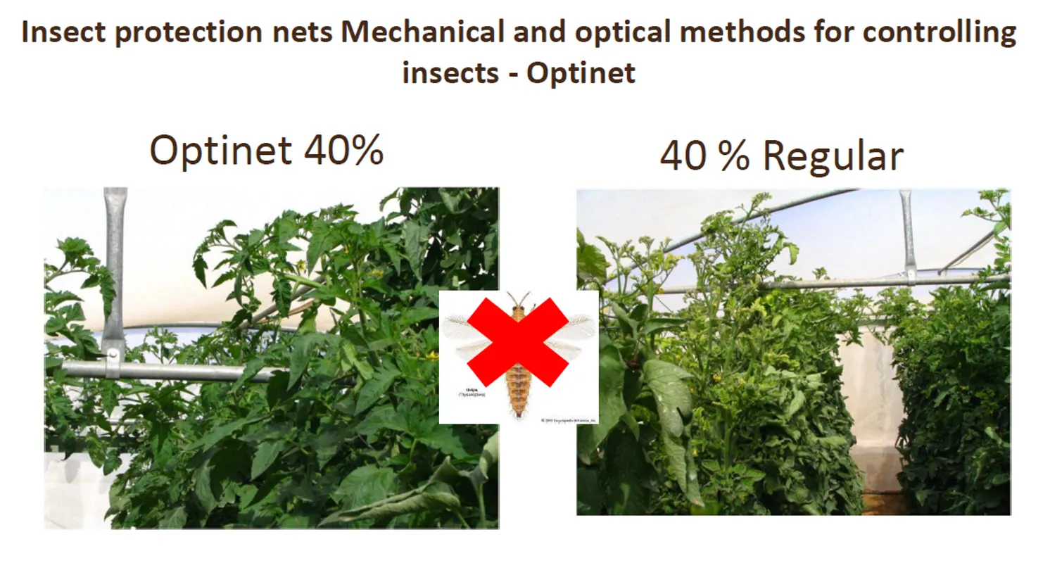 OptiNet before-and-after pest control comparison on crop canopy