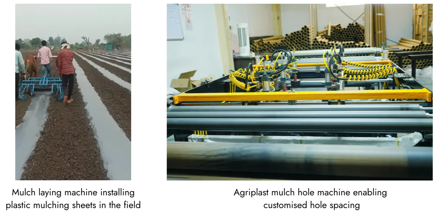 Mulch laying machine installation in agriculture