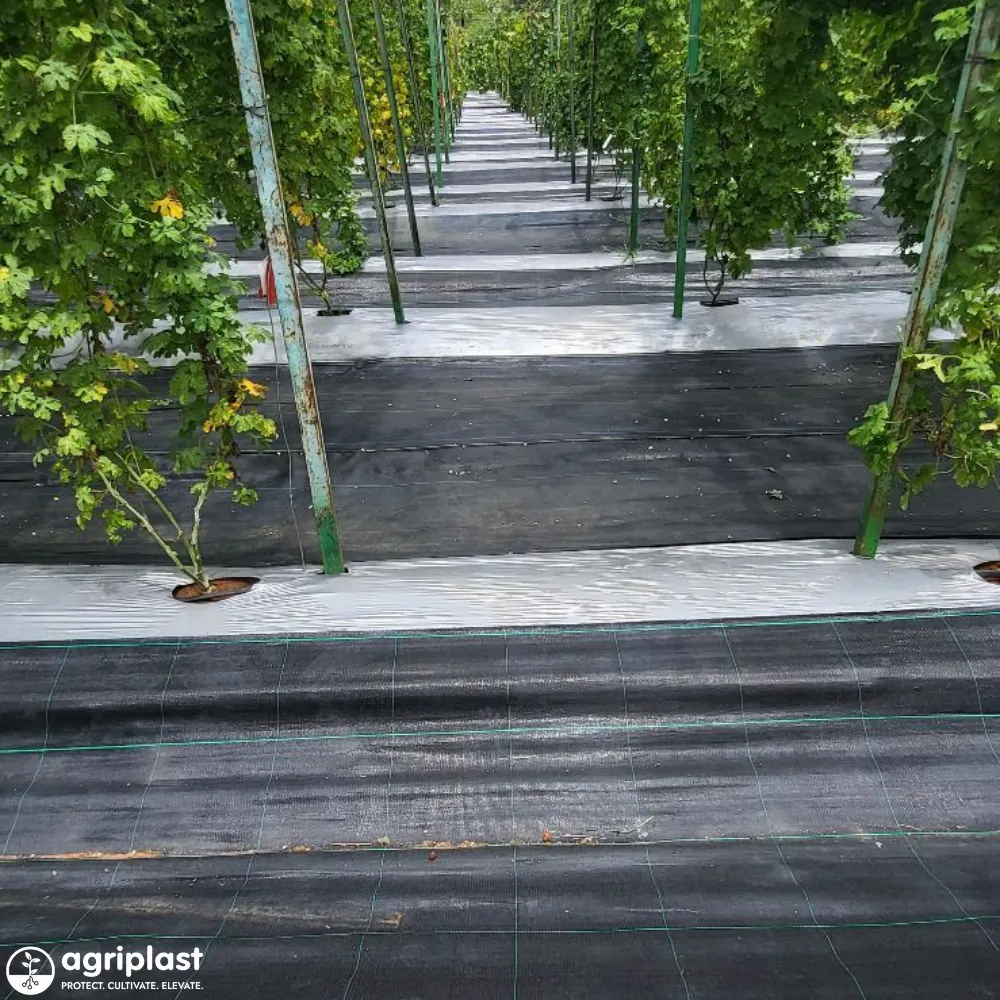 Weed Mat for Agriculture: Uses, Benefits, ROI & Buying Guide