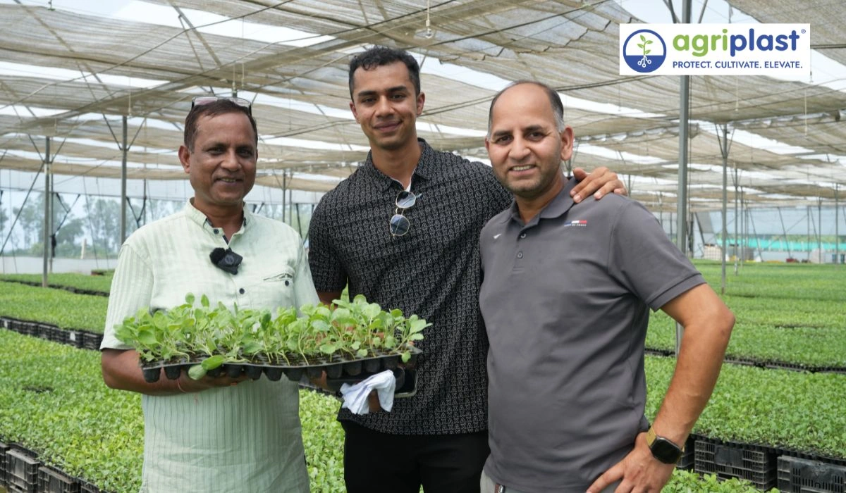 Manoj Bhatia at his 170-acre vegetable nursery in Karnal Haryana with cauliflower seedling tray
