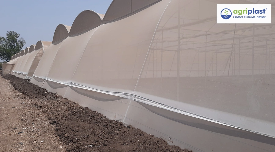 Agriplast insect net installed on polyhouse sidewall showing curved arch structure and roll-up ventilation panels