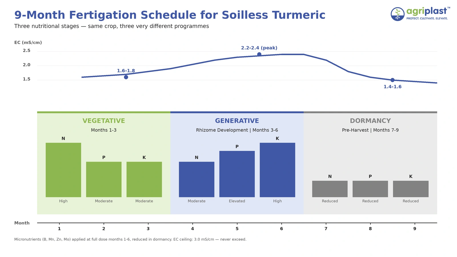 9-month fertigation timeline chart for soilless turmeric showing EC levels rising from 1.6 to 2.4 peak during rhizome bulking then dropping to 1.4 in dormancy