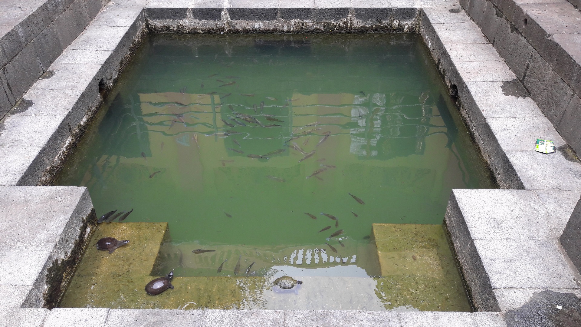 Stopping Leaks in Pond Liners During Rainy Seasons