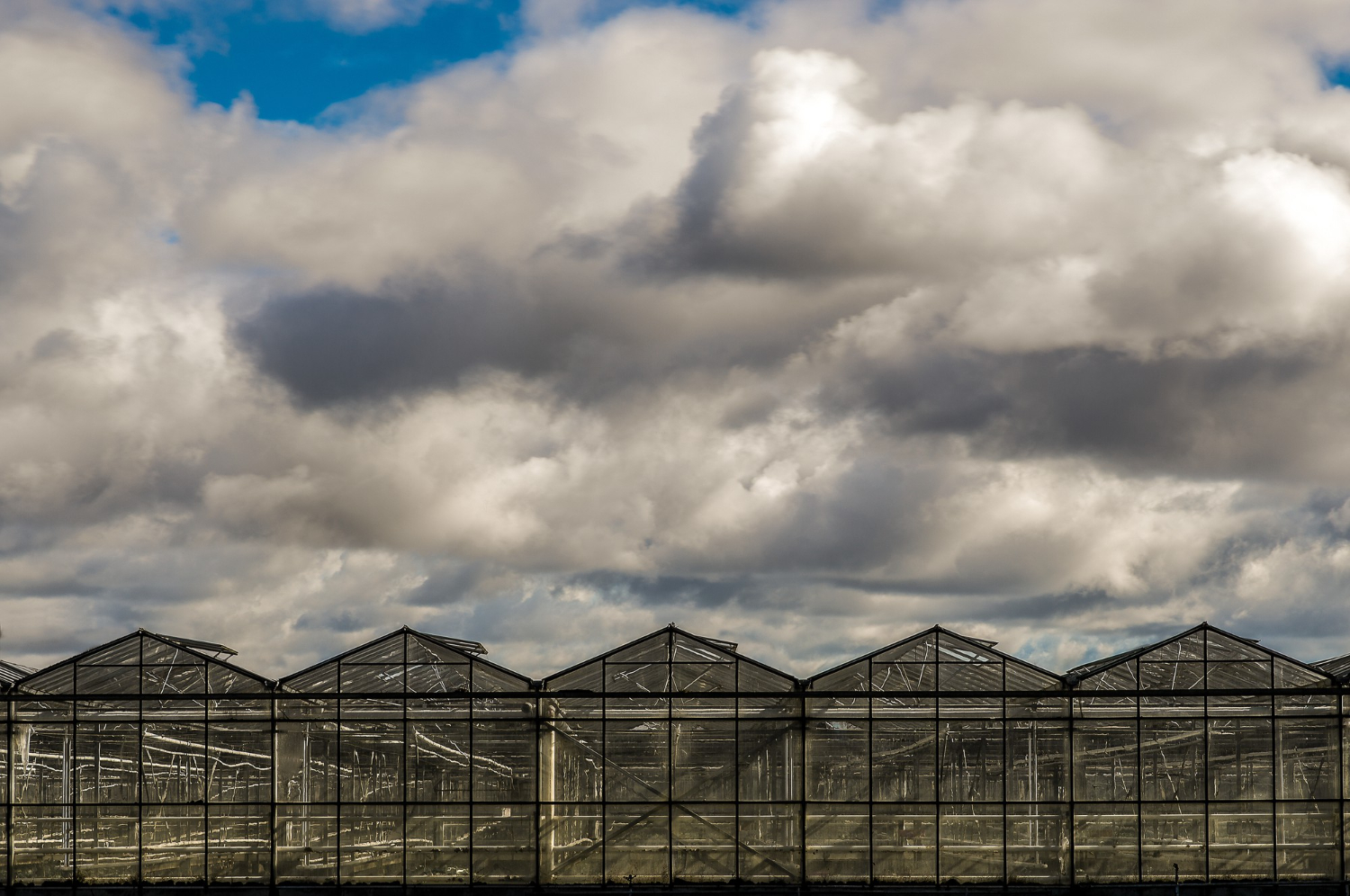 Preventing Heat Damage to Crops Using Black Shade Nets