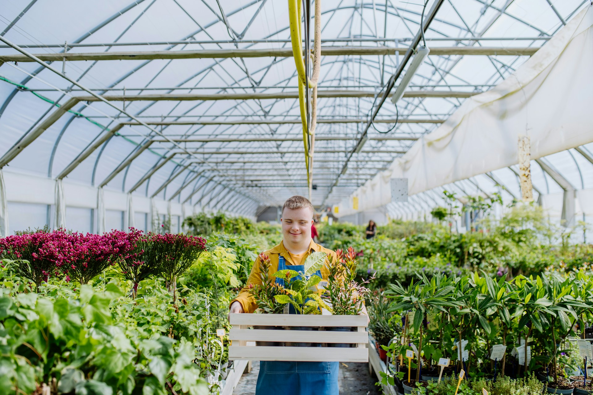 Preventing UV Damage to Greenhouse Plants Despite Using Protection