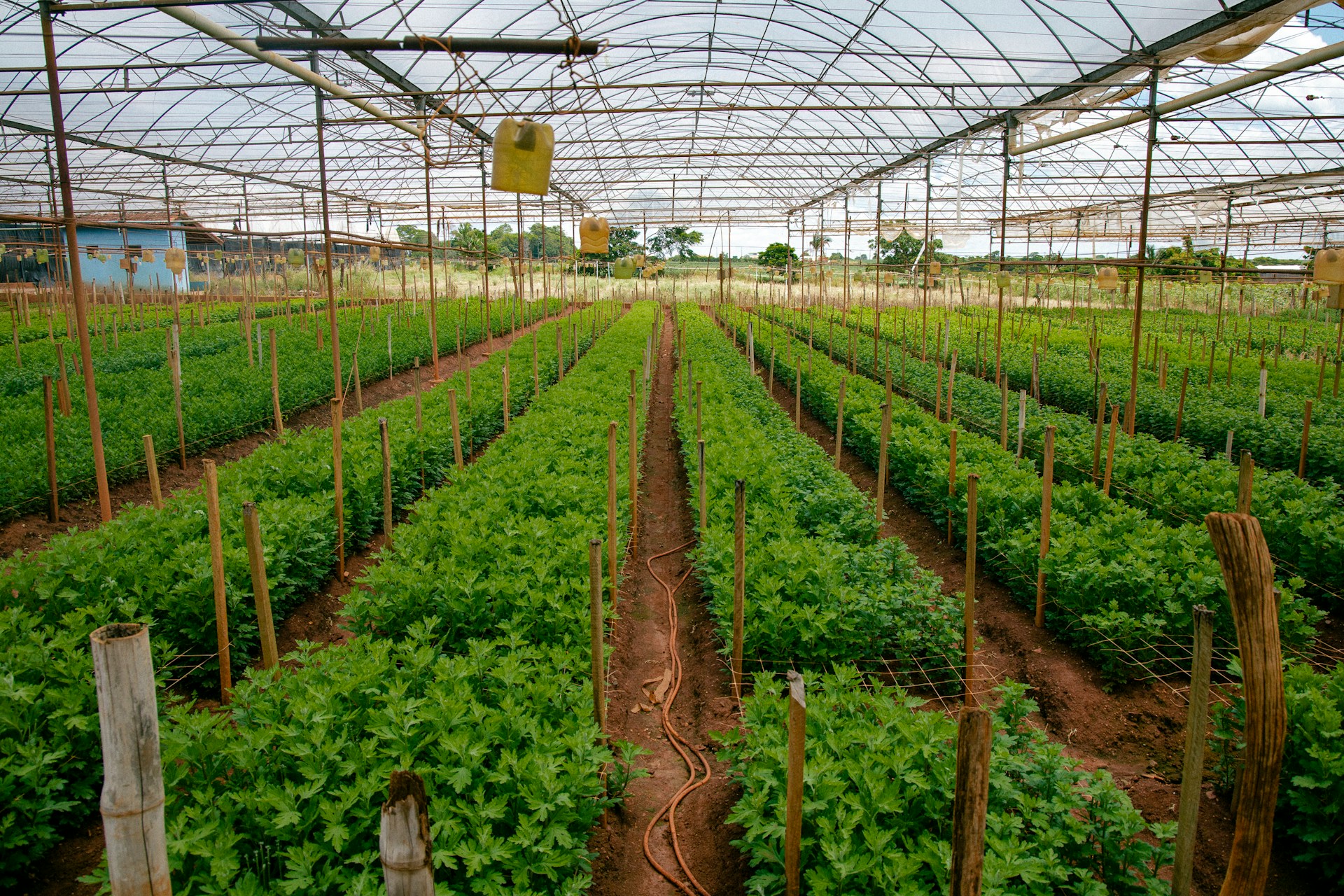 How to Choose Greenhouse Covering Material That Won't Sag or Tear