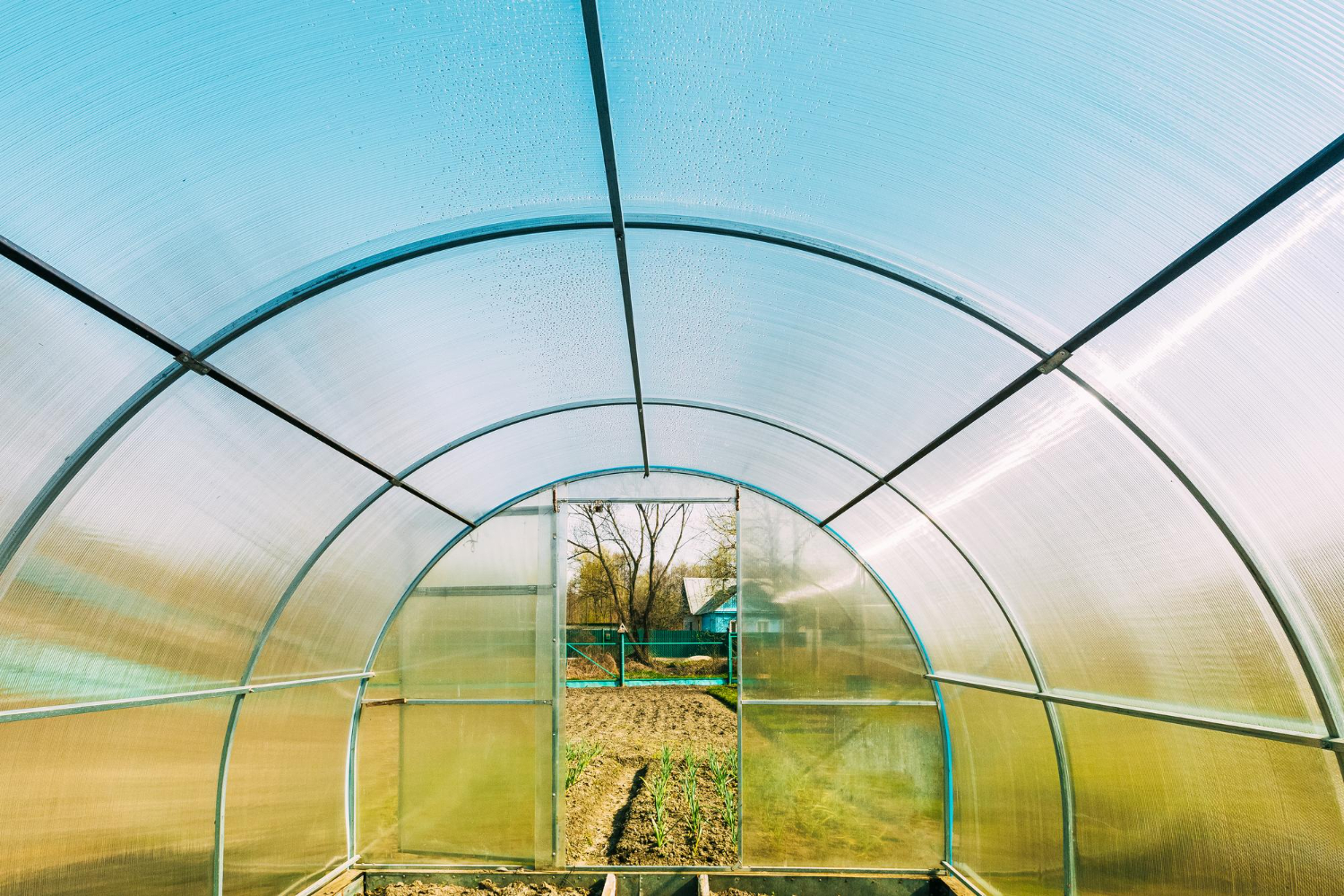 Dealing with Mould Growth Under Polytunnel Plastic Sheeting