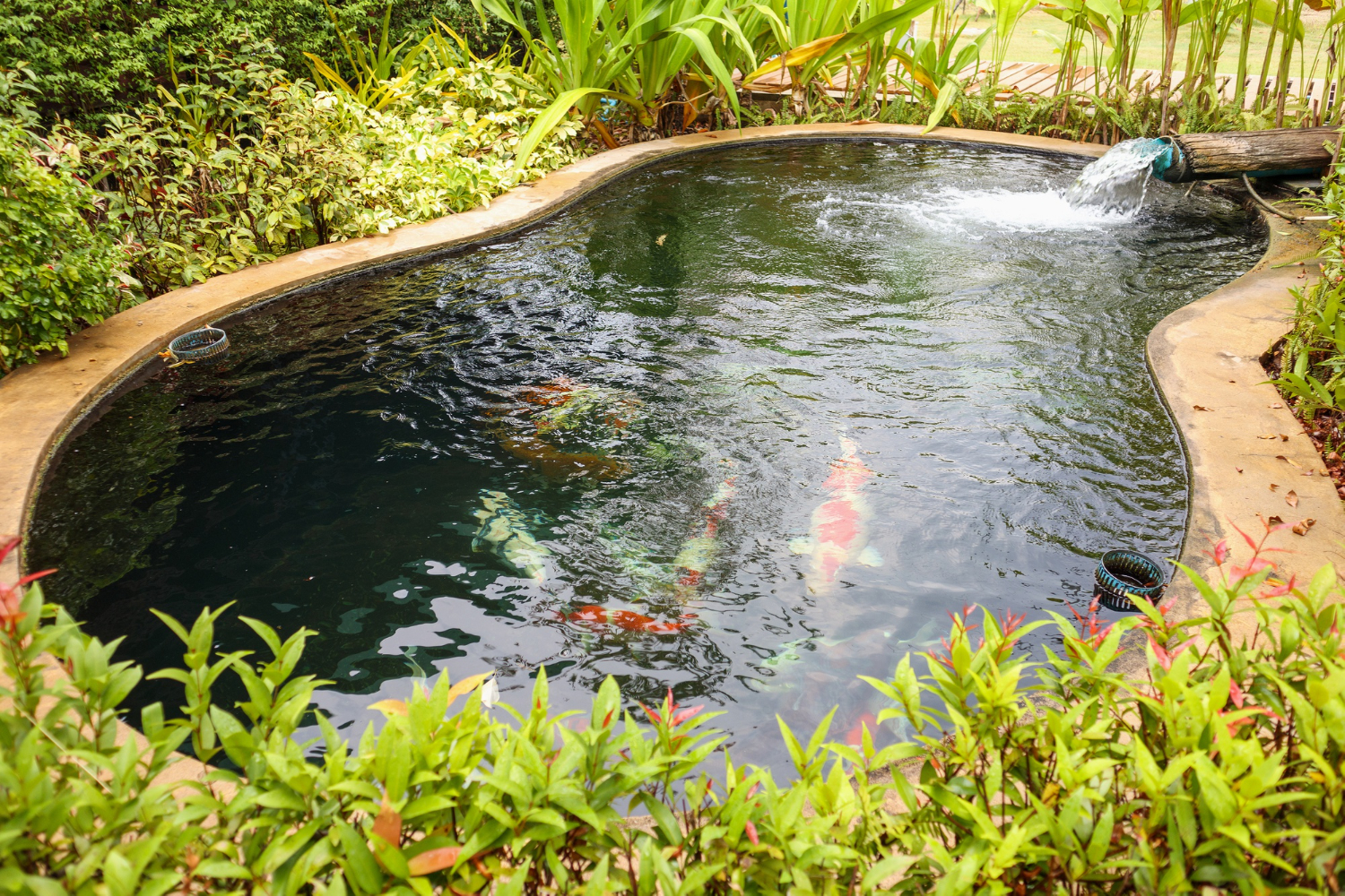 Fixing Pond Liner Wrinkles That Collect Debris