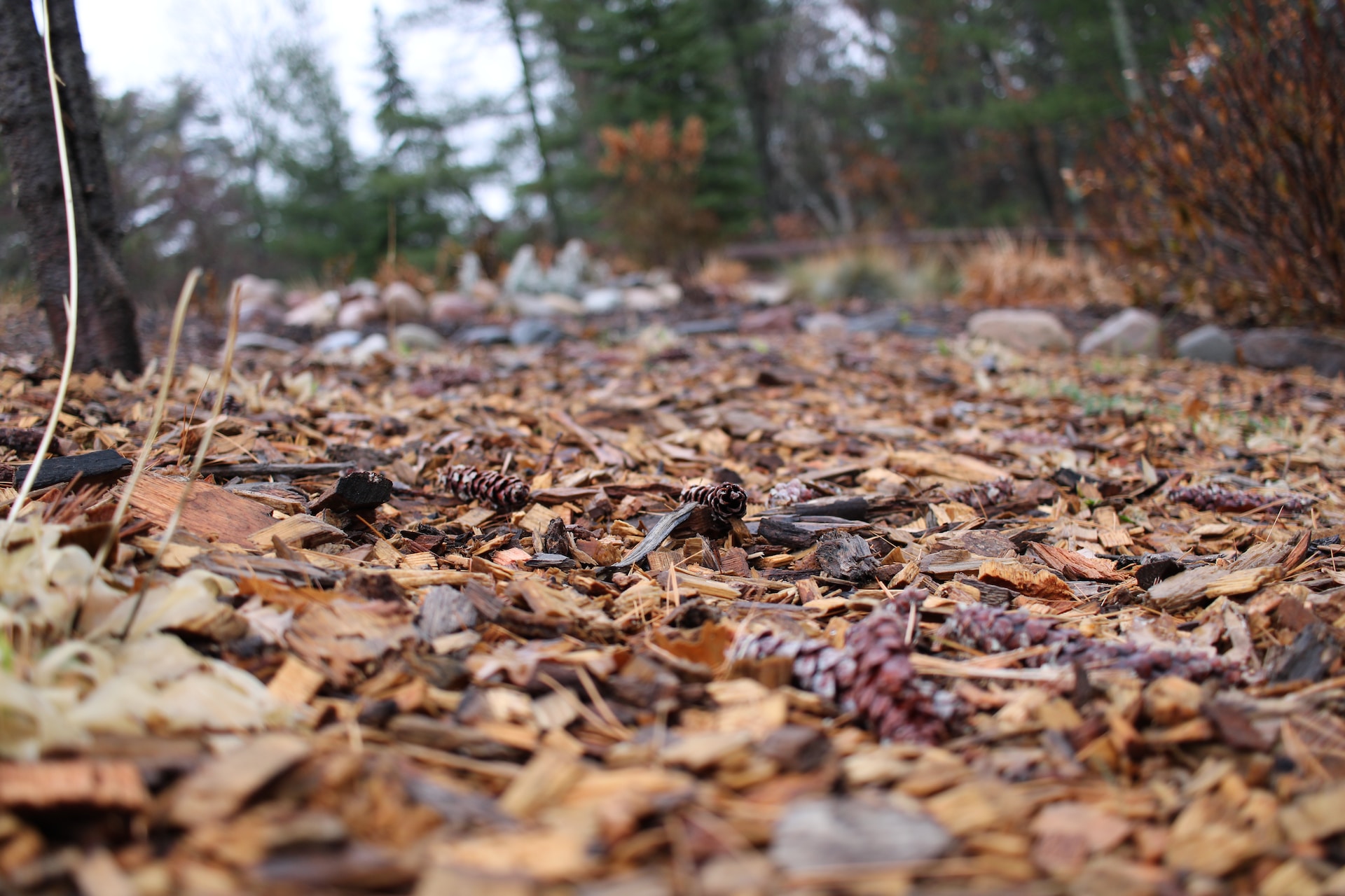 Types of Mulching in Agriculture: A Comprehensive Guide to Enhancing Crop Yield and Soil Health