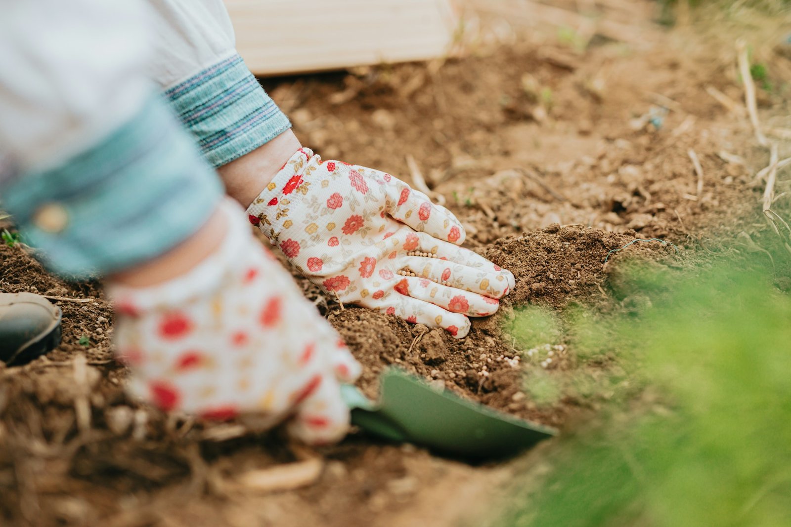 Soil Solarization Film: An Eco-Friendly Solution for Weed and Pest Management in Horticulture and Floriculture